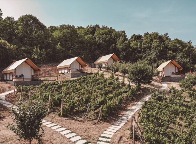 Lala Vineyard Glamping Resort